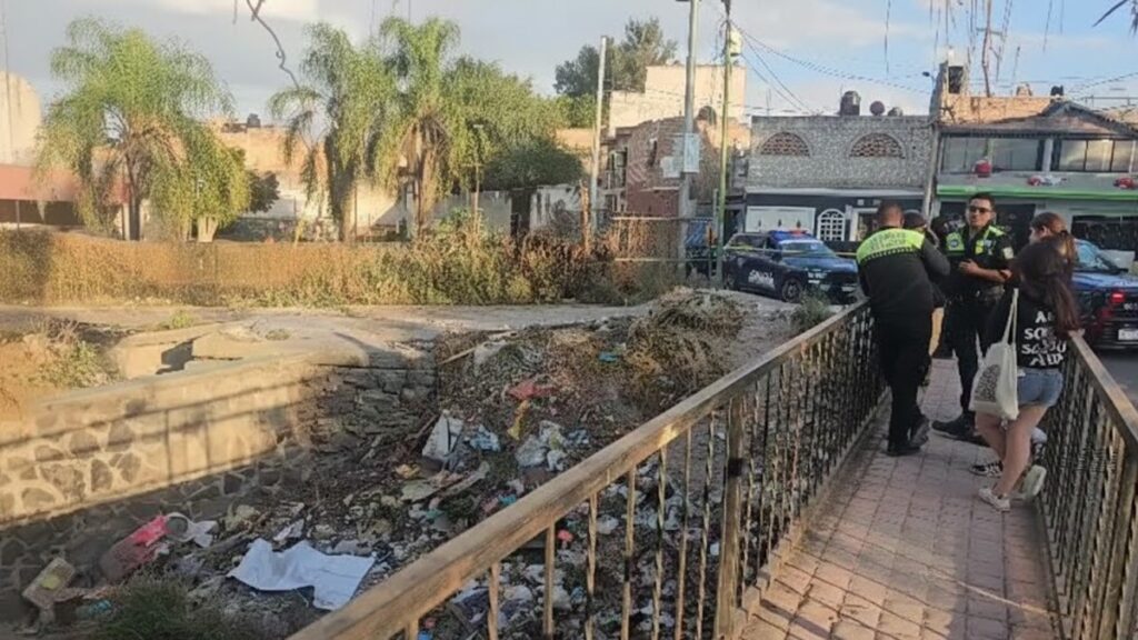 Colectivo de Madres Buscadoras Encuentra Cráneo y Restos Humanos en Tonalá