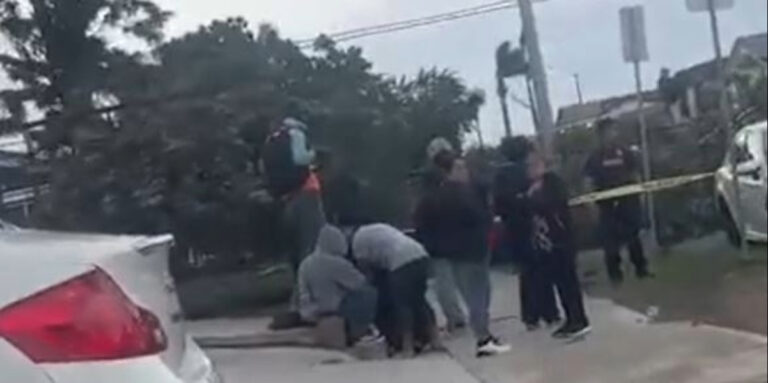 Tragedia en City Heights: Hombre muere tras caída de árbol