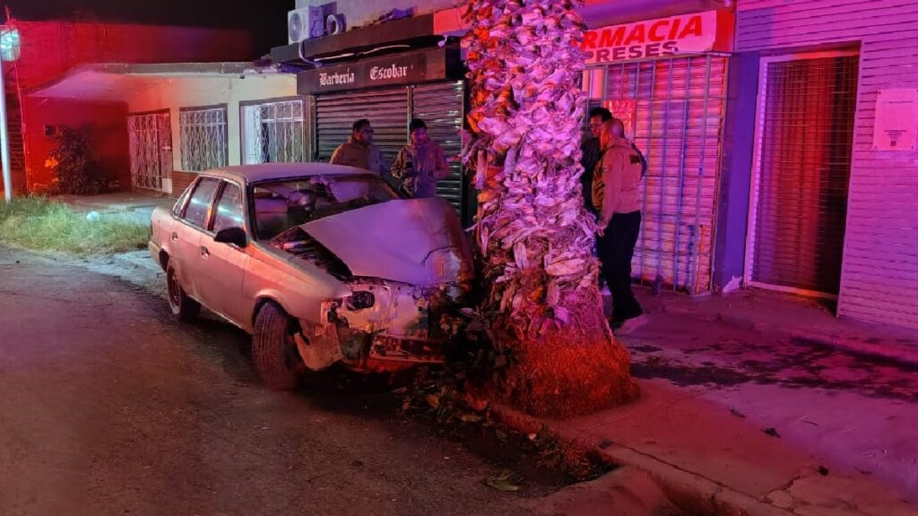 Accidente de automóvil en Torreón: Menores de edad chocan contra una palma y sufren fracturas