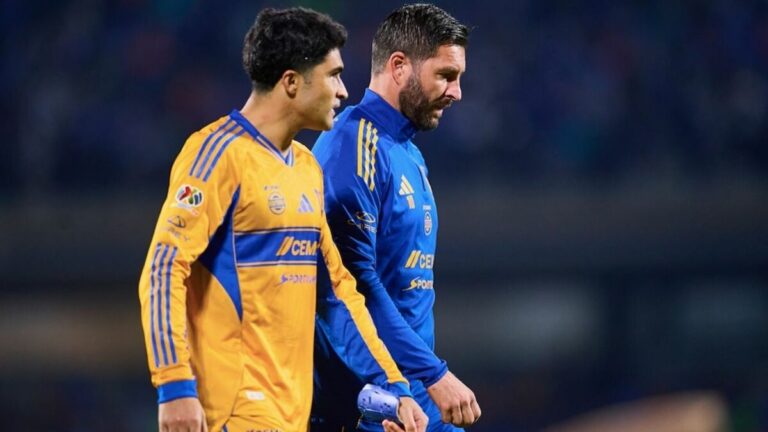 Refuerzos de Tigres: la espera continúa para los aficionados